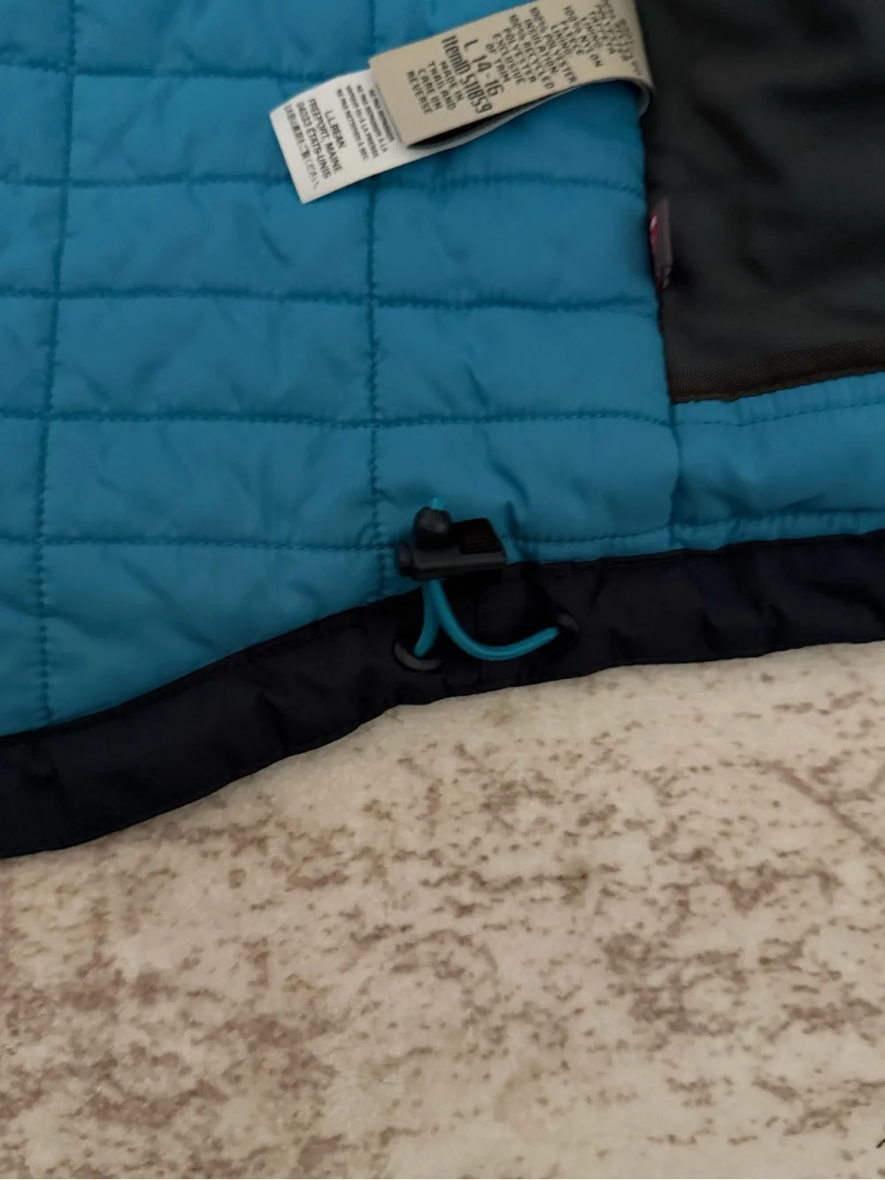 L.L.Bean Kids Waterproof Ski Jacket Blue Mountain Print Hooded Insulated L 14-16